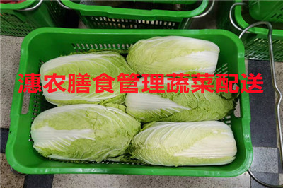 廈門市翔安金海工廠蔬菜配送
