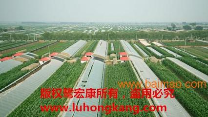 《鷺宏康》廈門蔬菜配送公司,蔬菜配送中心