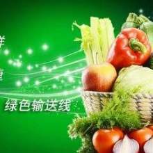 廈門工廠食堂蔬菜配送,尚好食蔬菜