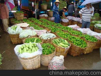 廈門集美蔬菜配送,集美蔬菜批發(fā),集美工廠飯?zhí)贸邪?食品配料批發(fā)圖片,廈門集美蔬菜配送,集美蔬菜批發(fā),集美工廠飯?zhí)贸邪?食品配料批發(fā)圖片大全,廈門鷺宏康果蔬-