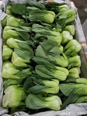 廈門蔬菜批發配送公司,廈門食材配送,廈門蔬菜配送