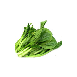 蔬菜配送報價、廈門地三鮮、漳浦蔬菜配送