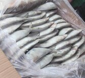 廈門蔬菜水果調味品豆制品水產品肉制品糧油配送
