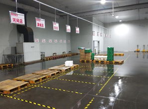 美味安全配送快,這家食品加工中心有絕技傍身