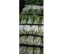 【新鮮蔬菜產品庫】_價格/圖片/廠家_新鮮蔬菜第5頁 - 產品庫
