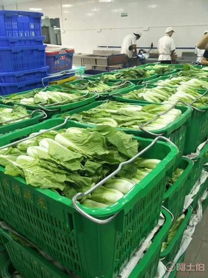 【廈門工廠食堂承包、蔬菜配送