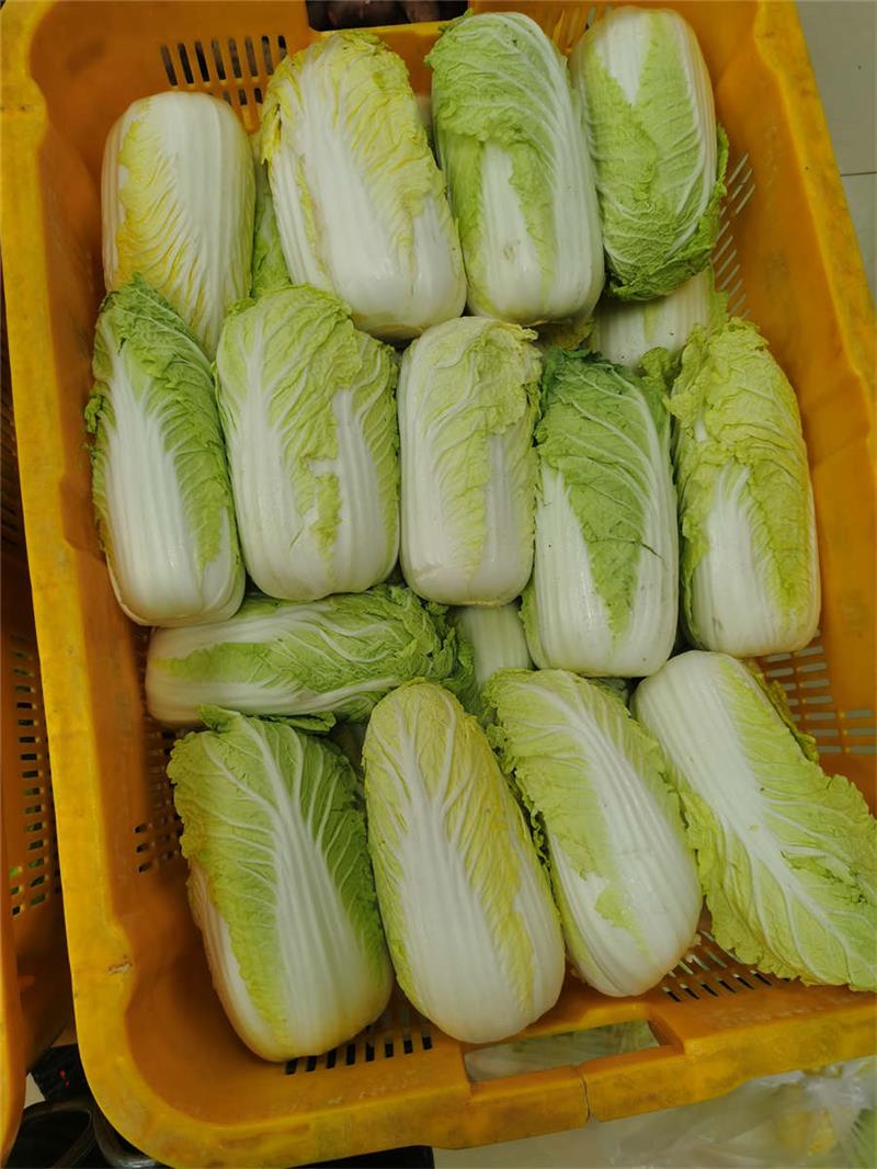 推薦廈門專業的蔬菜配送_蔬菜配送-真食惠(廈門)企業管理服務