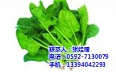 【各大超市蔬菜配送、漳州蔬菜、廈門地三鮮(在線咨詢)】圖片,海量精選高清圖片庫