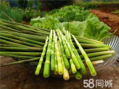 廈門盛之康蔬菜配送批發(fā)整體服務(wù)