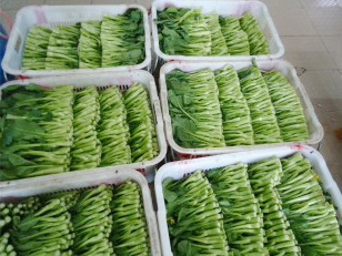 蔬菜配送-漳州食堂管理-廈門食堂承包