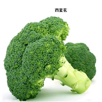 廈門蔬菜配送 漳州蔬菜配送