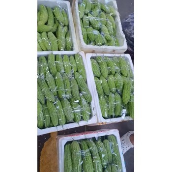 廈門市生鮮蔬菜配送