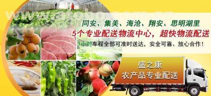 如何選擇好的蔬菜配送服務(wù)商?廈門食材配送公司