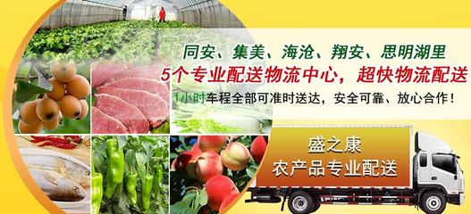 廈門蔬菜配送中心|蔬菜配送專業服務商