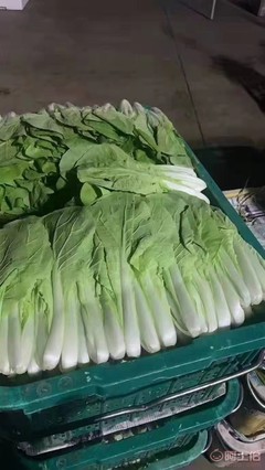【廈門工廠食堂承包、蔬菜配送