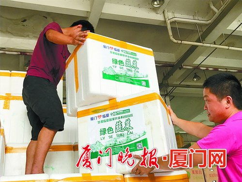 首批2.5萬公斤臨夏蔬菜來廈銷售 今起上市 價格比市場同類產品低