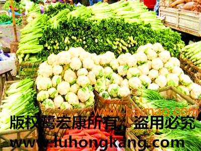 《鷺宏康》廈門蔬菜配送公司,蔬菜配送中心