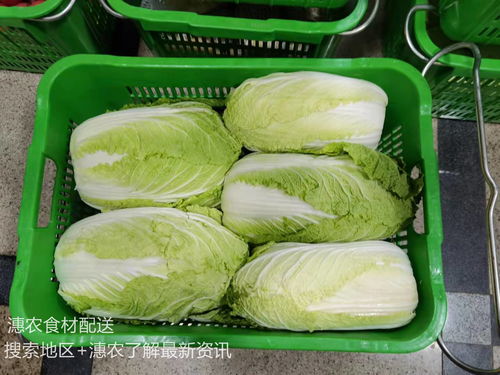 廈門市集美區(qū)蔬菜配送規(guī)范入市必登與上市憑證