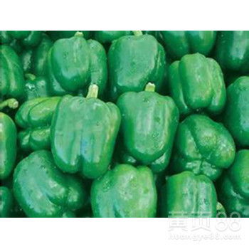【廈門蔬菜配送,鮮肉,糧油,凍品,水產等農副產品】- 