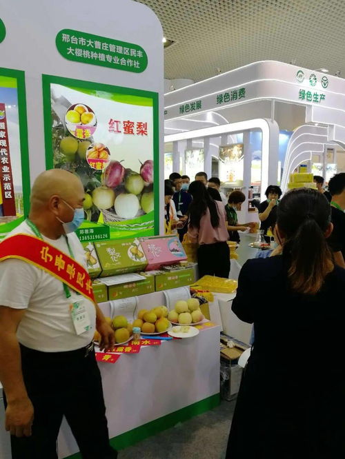 寧晉綠色農產品在廈門綠博會廣受歡迎