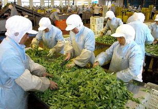 放心食品工程 讓市民放心