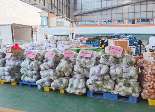 并肩廈門戰 疫 到底 一畝鮮生 為同安捐贈大量蔬菜物資