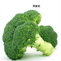 廈門有機蔬菜配送中心 蔬菜配送