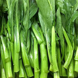 廈門蔬菜水果調味品豆制品水產品肉制品糧油配送
