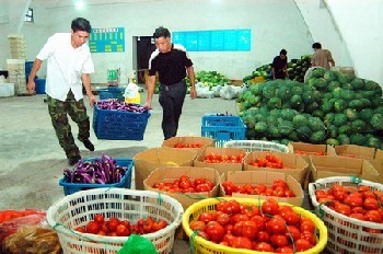 廈門市同安區西柯鎮蔬菜配送價格
