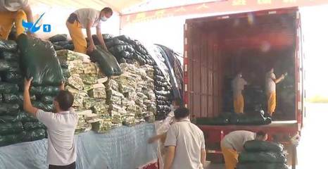 國慶市場供應平穩 “菜籃子”品種豐富