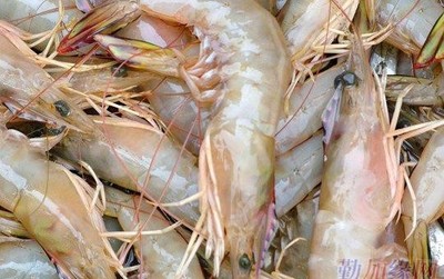 廈門專業團膳服務企業企事業單位食堂承包管理、蔬菜農副產品配送
