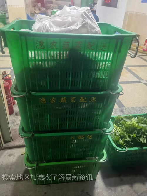 廈門市海滄區蔬菜配送公司完善倉儲保鮮配送體系