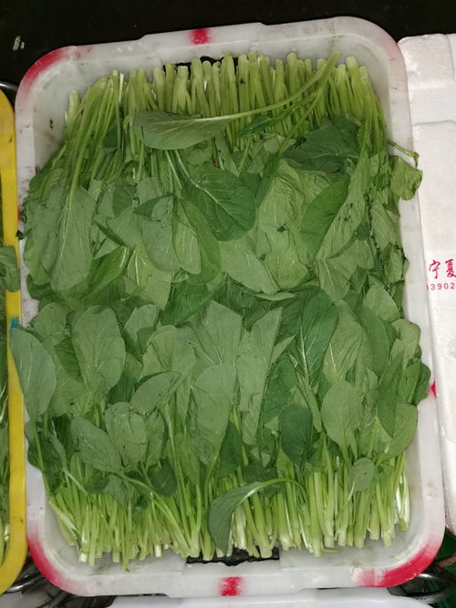 深圳公明東坑社區(qū)工廠有機(jī)蔬菜配送