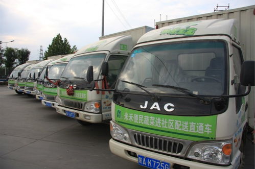 鷺宏康廈門蔬菜配送 值得你信賴的物流服務(wù) 專注廈門蔬菜配送