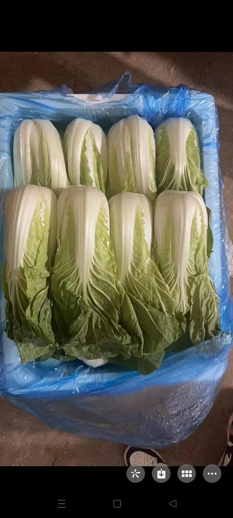 廈門蔬菜批發(fā)配送,廈門生鮮配送,廈門食材配送,廈門新鮮蔬菜基