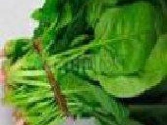 圖 深圳生鮮蔬菜配送公司專業工廠學校蔬菜配送生鮮水果 深圳生活配送