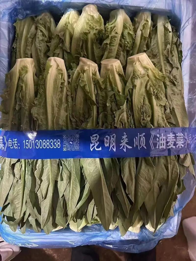 廈門蔬菜批發配送,廈門生鮮配送,廈門食材配送,廈門新鮮蔬菜基