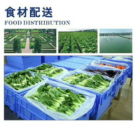 飯堂承包價格
