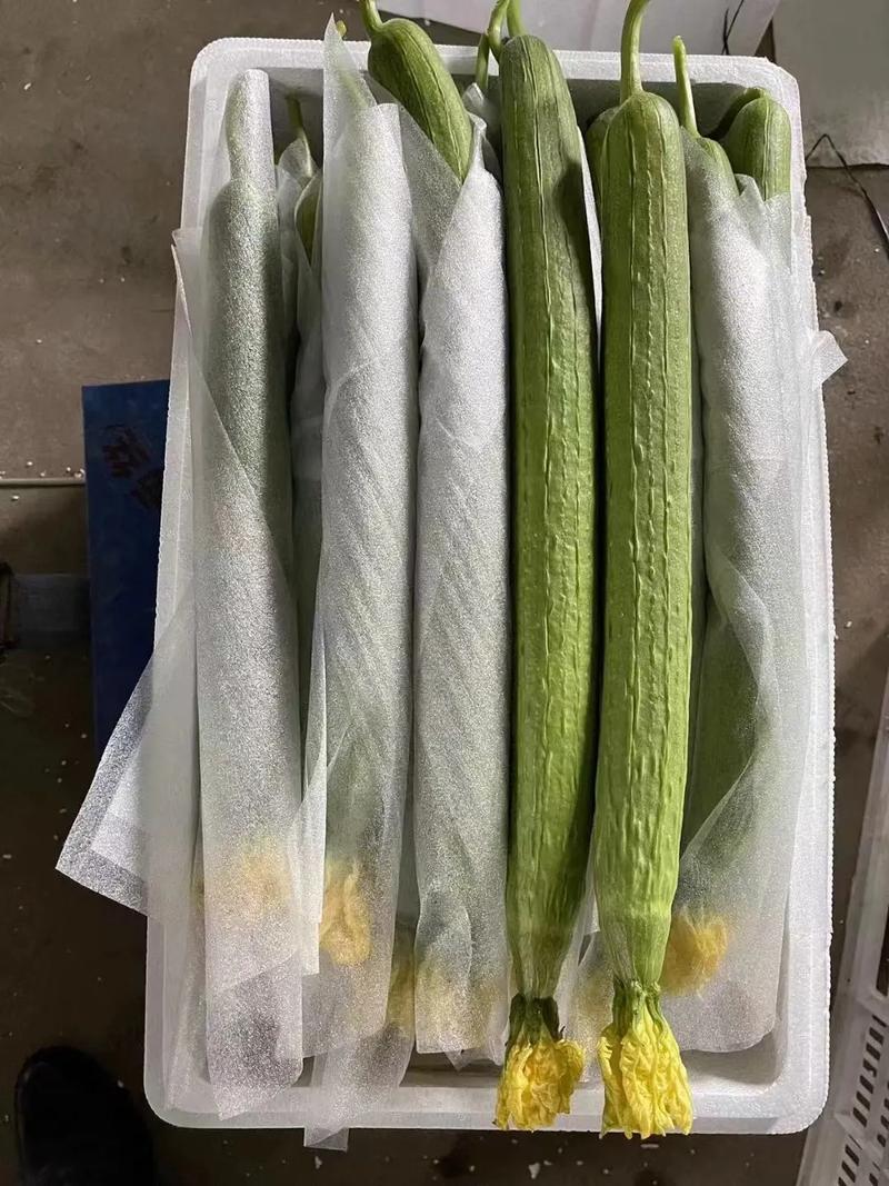 廈門蔬菜批發配送,廈門生鮮配送,廈門食材配送,廈門新鮮蔬菜基