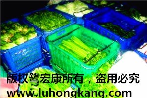 【廈門蔬菜配送公司
