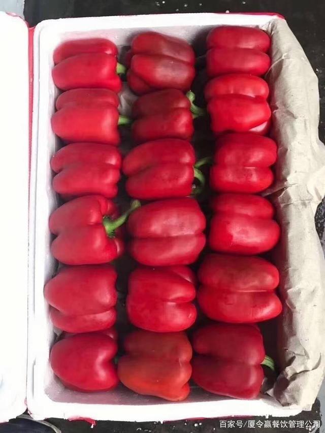 廈門蔬菜配送,工廠生鮮供應商