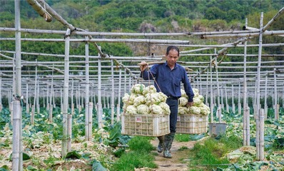 龍文:" 線上+線下 " 融合 打破銷售瓶頸