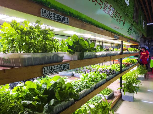 廈門同安"菜歡喜":數字化賦能下的蔬菜配送新標桿