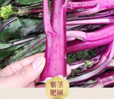 廈門新鮮蔬菜水果肉類糧油調料海鮮配送