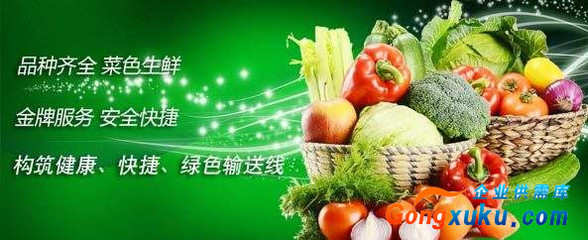 廈門學校蔬菜配送,廈門幼兒園蔬菜配送