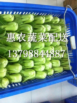 廈門市潓農(nóng)蔬菜配送